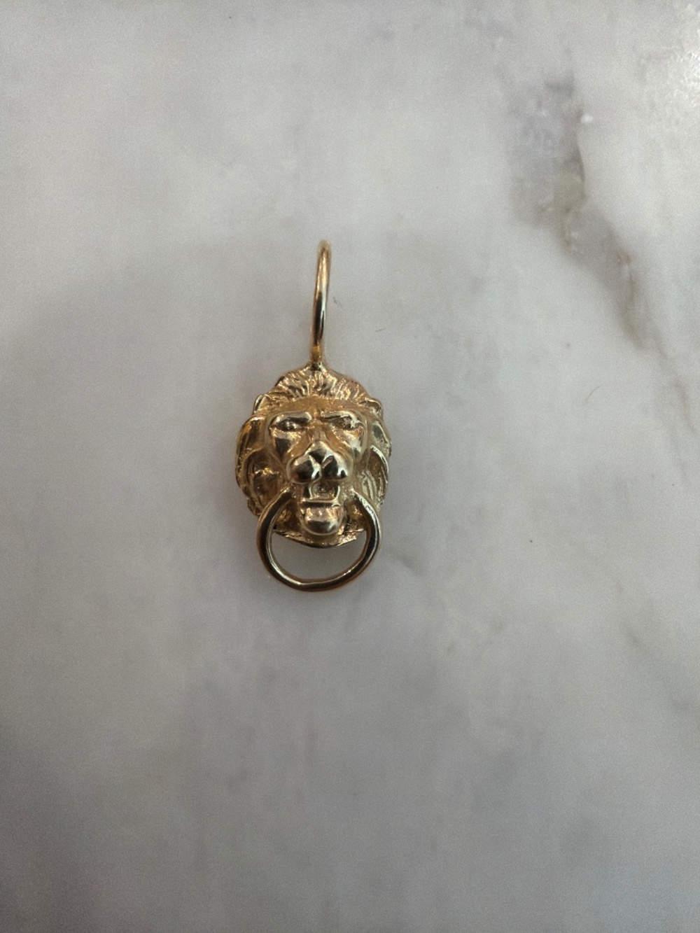 Lion Door Knocker Pendent